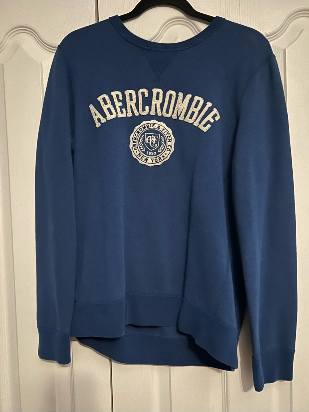 Abercrombie & Fitch Blue Women's Crewneck Sweatshirt with Logo